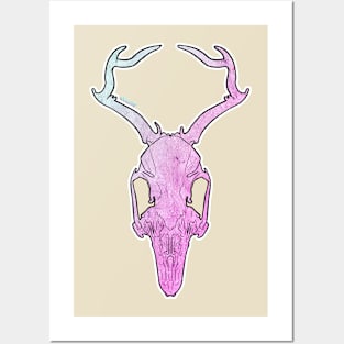 The Magical Jackalope Posters and Art